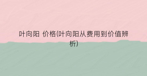 叶向阳 价格(叶向阳从费用到价值辨析)